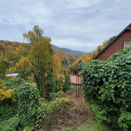 Smoky Heights Overlook, Luxury Log Cabin, Mountain & City Views